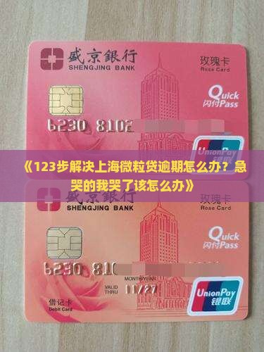 上海微粒贷逾期还款协商该怎么进行