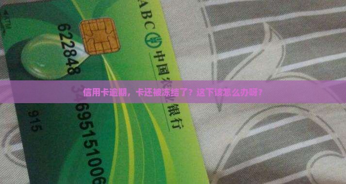 卡被冻结信用卡逾期会怎么样该如何处理