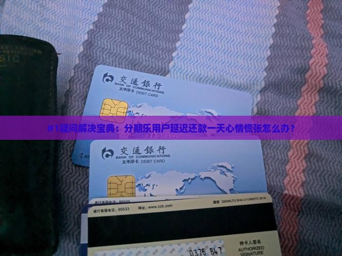 分期乐延迟还款一天