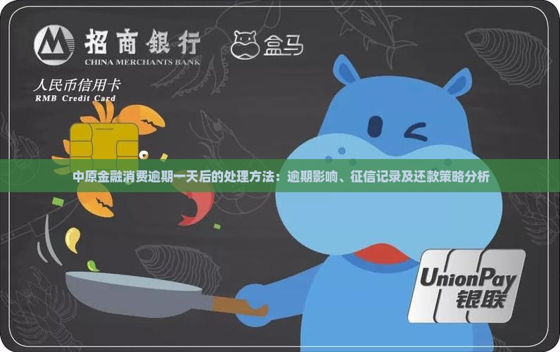 中原金融消费逾期一天后的处理方法