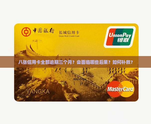 八张信用卡全部逾期三个月