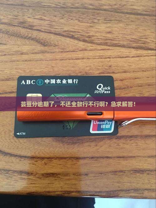 芸豆分逾期了必须还全款吗怎么办