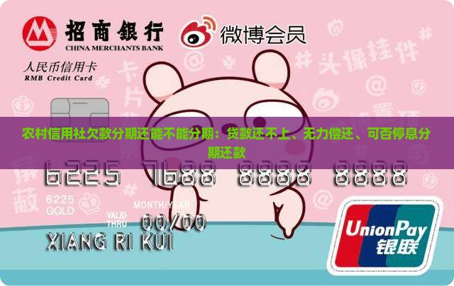 农村信用社欠款分期还能不能分期