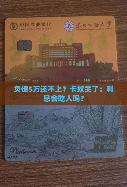 欠信用卡5万元还不上会怎样