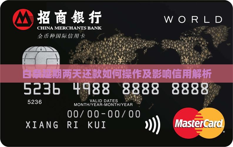 白条延期两天还款如何操作