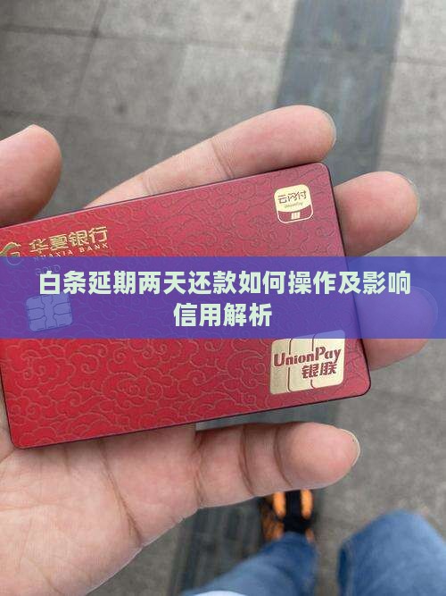 白条延期两天还款如何操作