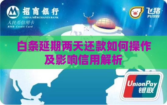 白条延期两天还款如何操作