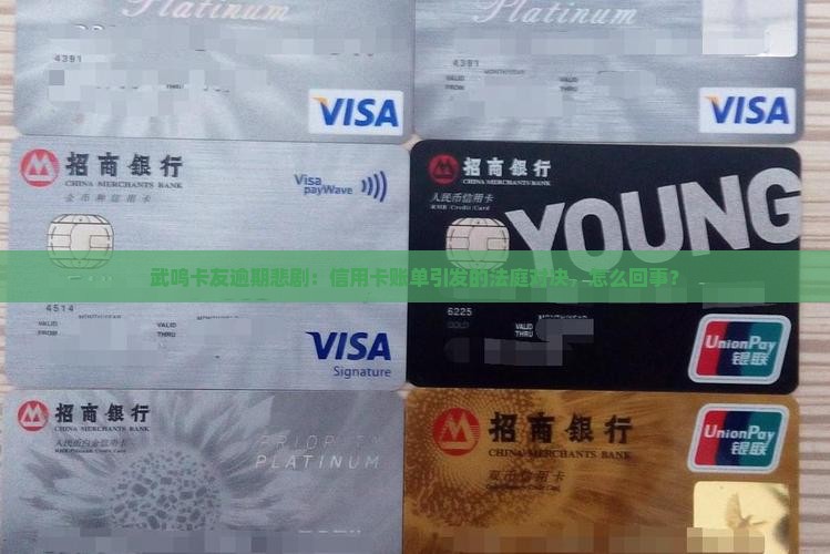 武鸣信用卡逾期被起诉了
