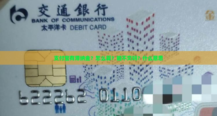 支付宝有滞纳金