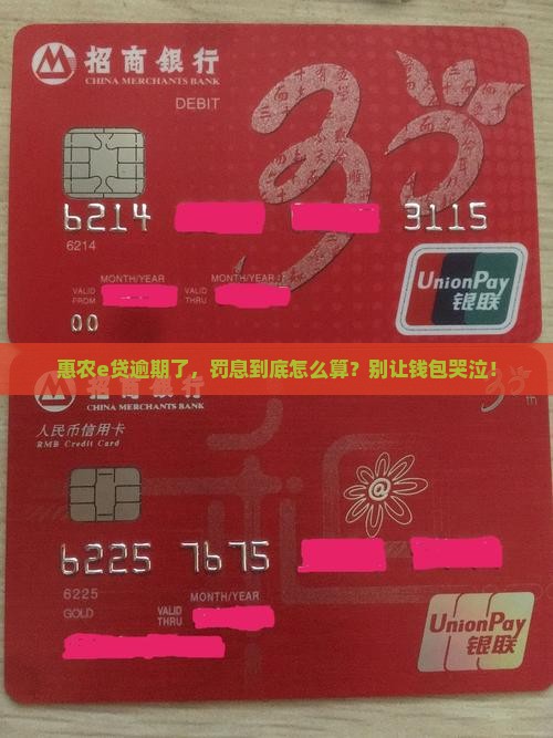 惠农e贷逾期费用怎么计算