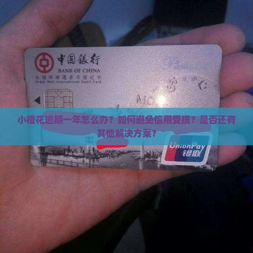 小橙花逾期一年怎么办