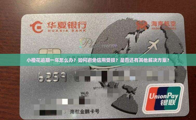 小橙花逾期一年怎么办