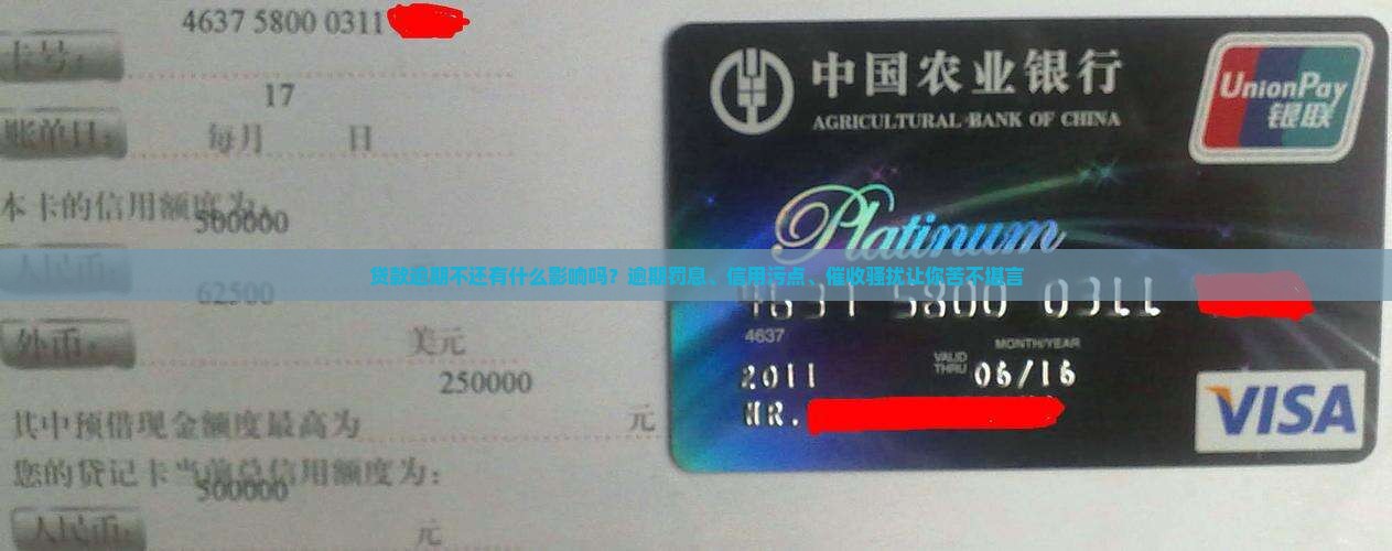 贷款逾期不还有什么影响吗
