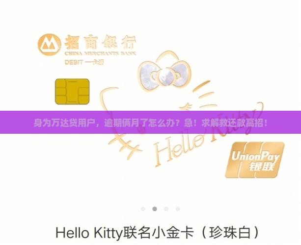 万达贷逾期二个月怎么办还款方法有哪些 万达贷逾期二个月怎么办还款方法有哪些