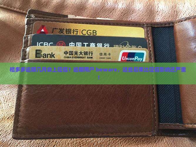 桔多多逾期几月会上征信 桔多多逾期几月会上征信