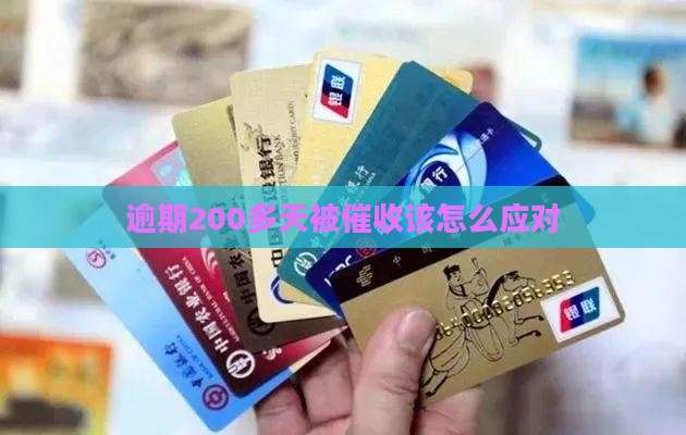 逾期200多天被催收该怎么应对
