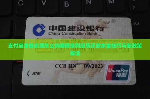 支付宝准备逾期怎么协商降低利息