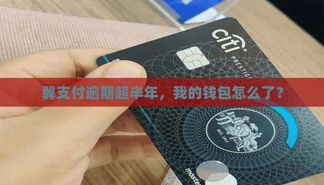 翼支付超过6个月没还