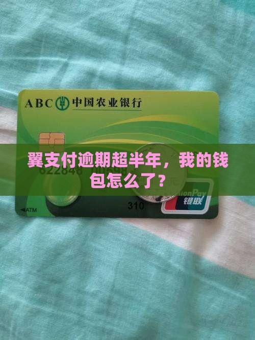 翼支付超过6个月没还