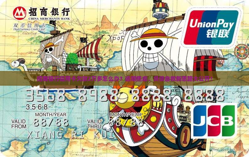 招商银行信用卡欠款2万多怎么办 招商银行信用卡欠款2万多怎么办