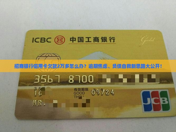招商银行信用卡欠款2万多怎么办 招商银行信用卡欠款2万多怎么办
