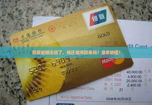 网上贷款逾期冻结怎么办