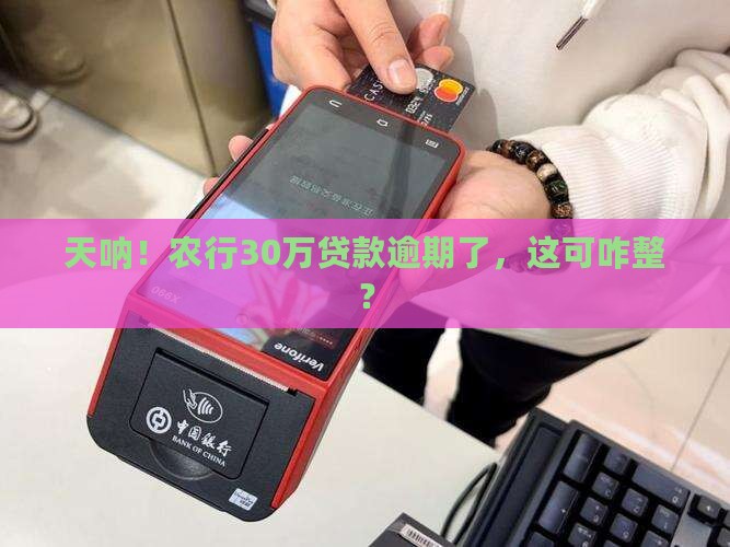 农行贷款30万逾期