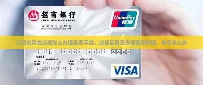 公司备用金逾期怎么办理延期手续