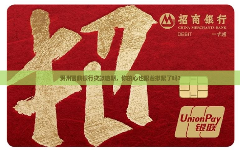 贵州富鼎银行贷款逾期 贵州富鼎银行贷款逾期