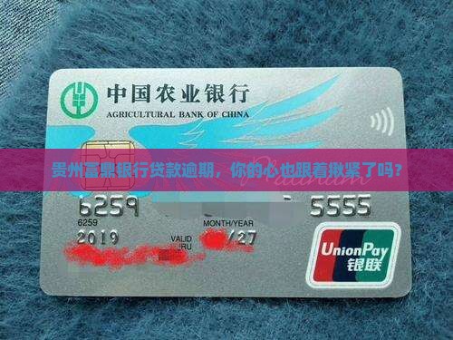 贵州富鼎银行贷款逾期 贵州富鼎银行贷款逾期