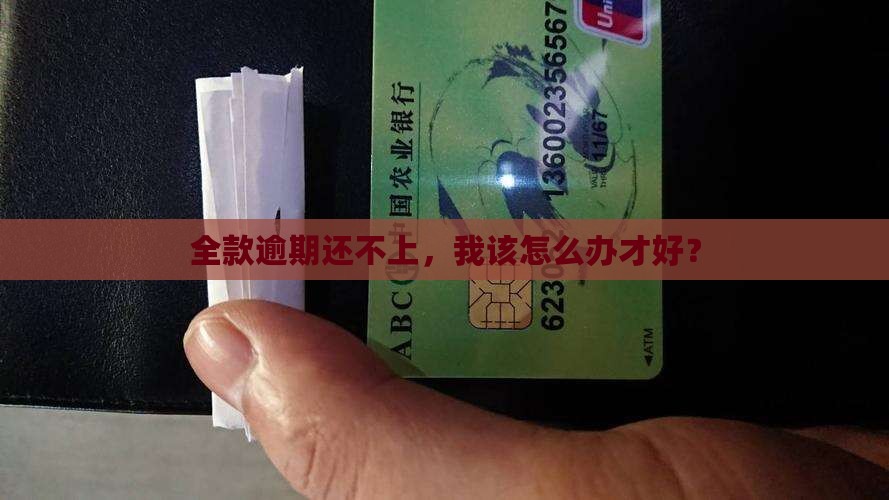 贷款全面逾期没钱还可以怎么办