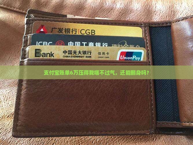 欠支付宝6万暂时无力偿还怎么办