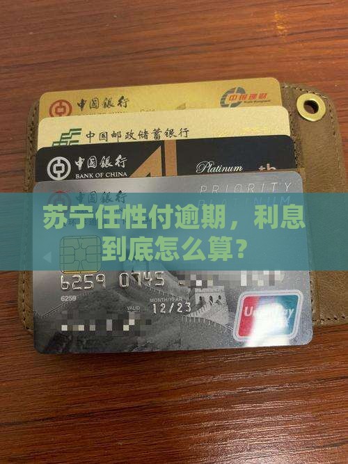苏宁金融任性付逾期利息