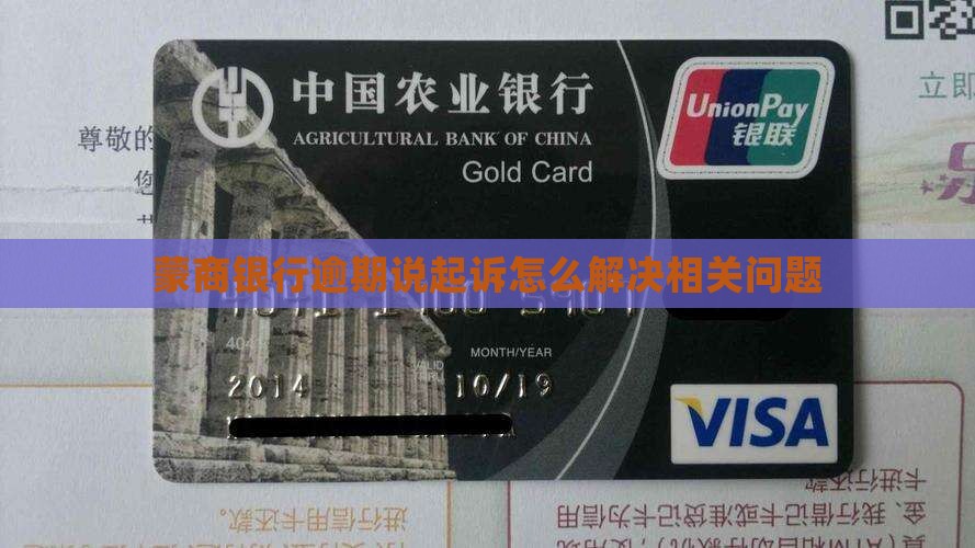 蒙商银行逾期说起诉怎么解决