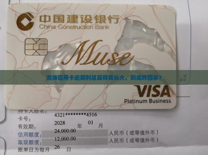 渤海信用卡逾期利息如何计算