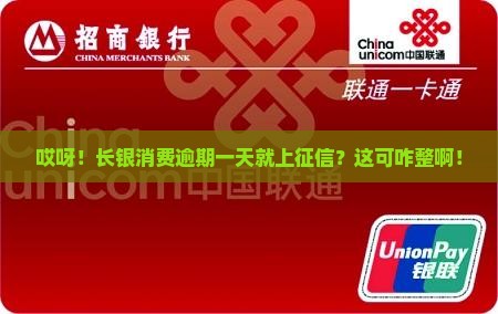 长银消费逾期一天上征信不怎么办理