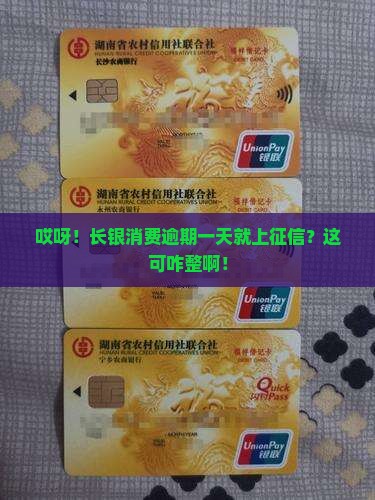 长银消费逾期一天上征信不怎么办理