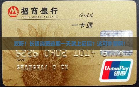 长银消费逾期一天上征信不怎么办理
