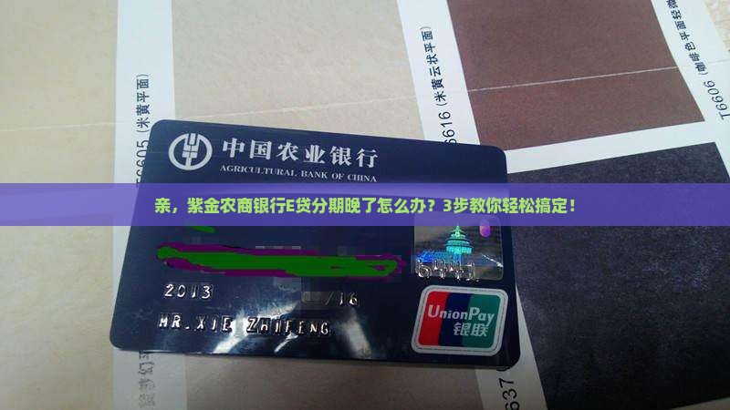 紫金农商银行E贷延迟分期怎么办理