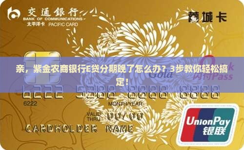 紫金农商银行E贷延迟分期怎么办理