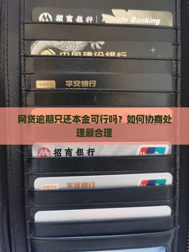 网贷逾期能只还本金行吗如何处理最合理
