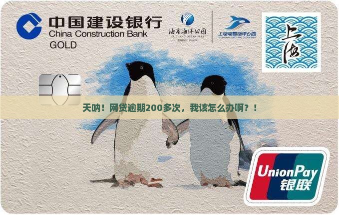 网贷逾期200多次应该如何处理