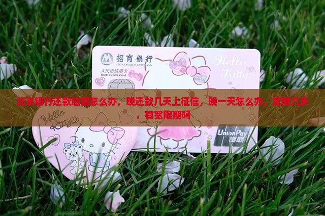 北京银行还款逾期怎么办