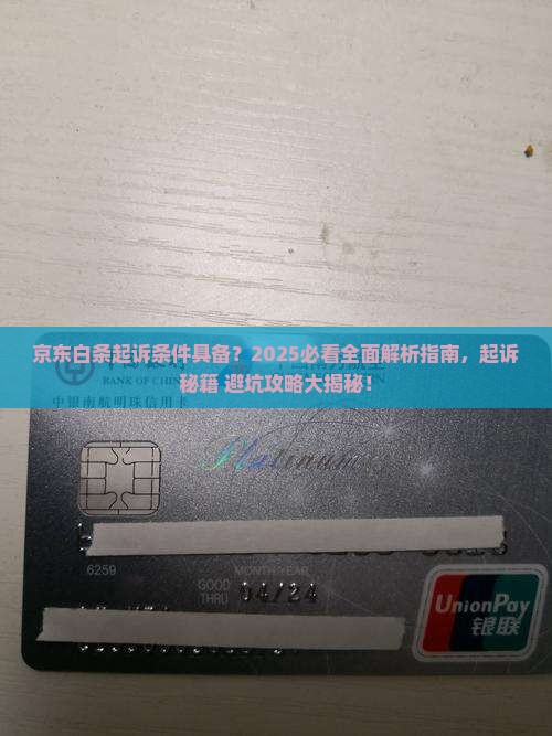 京东白条起诉条件具备