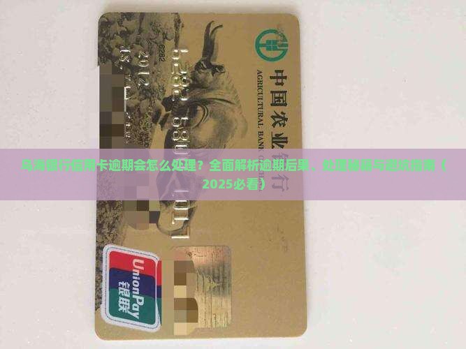 乌海银行信用卡逾期会怎么处理