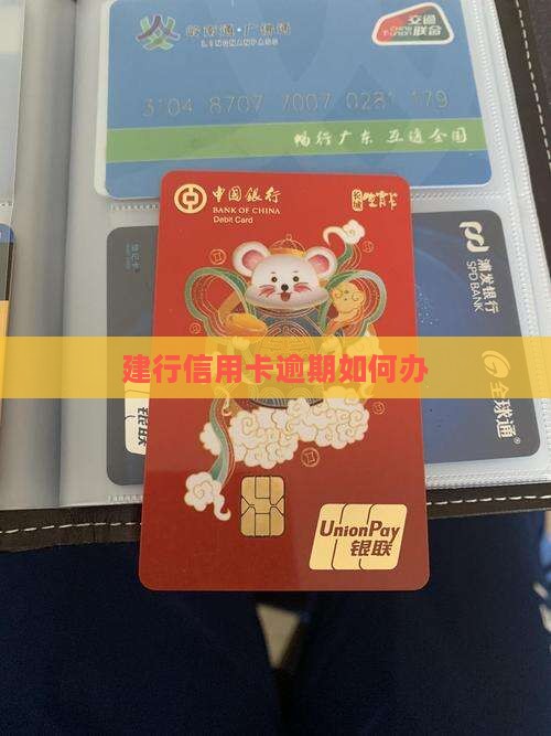 建行信用卡逾期如何办