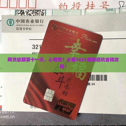 网贷全面逾期第十一天应该做什么处理