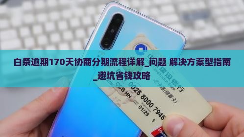 白条逾期170天协商分期流程详解