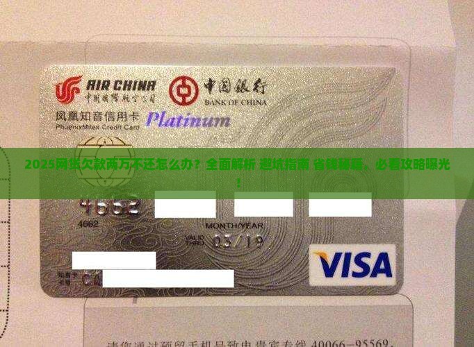 欠网贷两万还不还怎么办