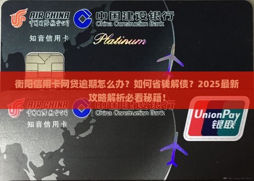 衡阳信用卡网贷逾期应对指南